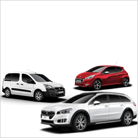 Garage Elsener Angebot